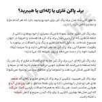 برف پاکن هیبریدی خودرو شاهین - تصویر 7