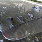 شارک تزئینی سقفی خودرو - تصویر 4