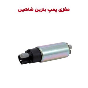 مغزی پمپ بنزین شاهین